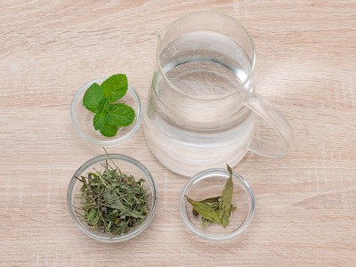 食譜-蒲公英薄荷飲
