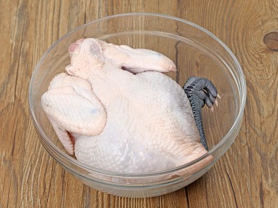 食譜-滴雞精