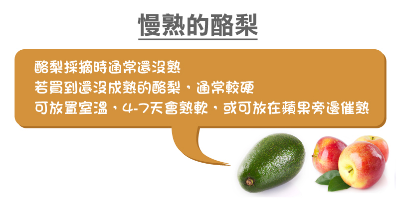 內文4.jpg